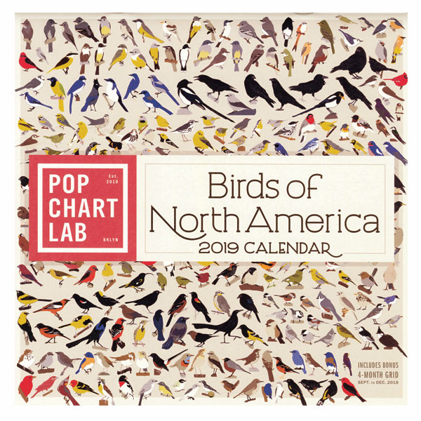 Pop Chart Birds Of North America