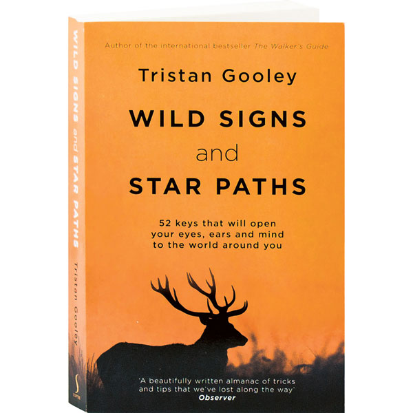 Wild Signs And Star Paths