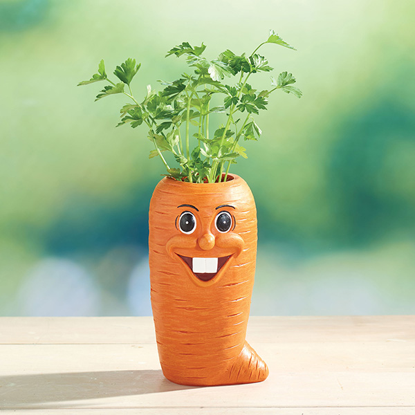 Carrot Veggie Herb Pot