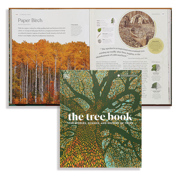 Product image for The Tree Book