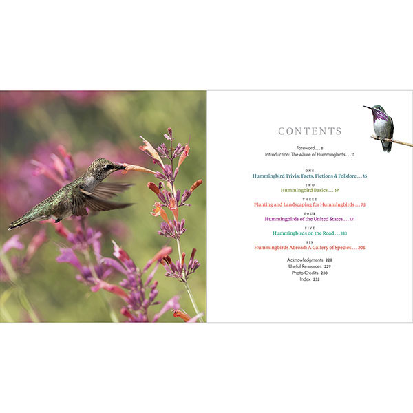 Product image for The Hummingbird Handbook