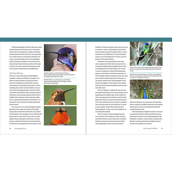Product image for The Hummingbird Handbook