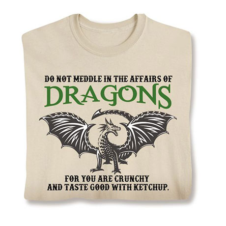 Do Not Meddle In The Affair Of Dragons T-Shirt