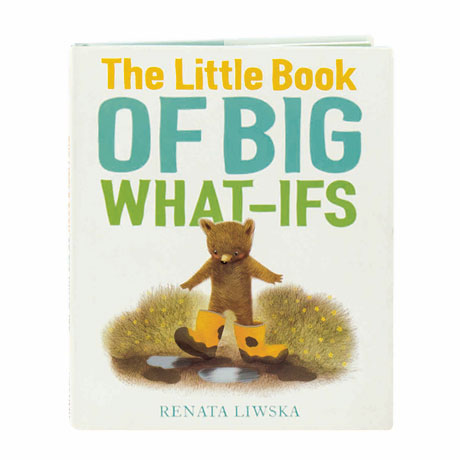 The Little Book Of Big What-Ifs