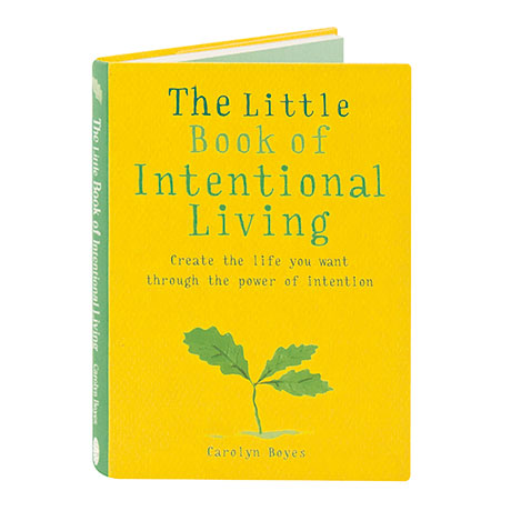 The Little Book Of Intentional Living