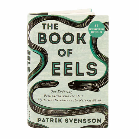 The Book Of Eels
