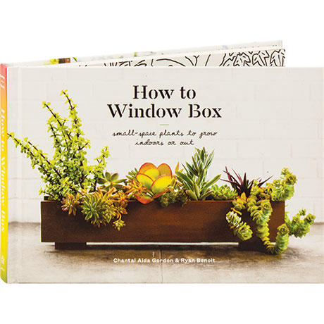 How To Window Box