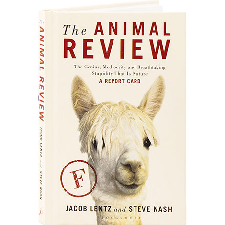 The Animal Review