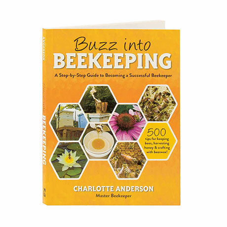 Buzz Into Beekeeping