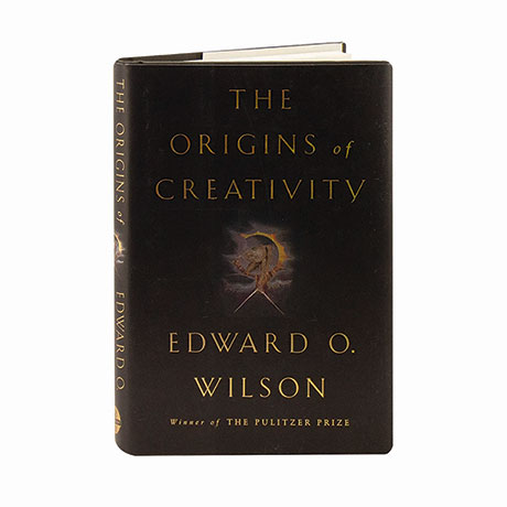 The Origins Of Creativity