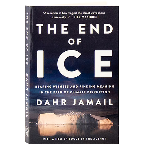 The End Of Ice