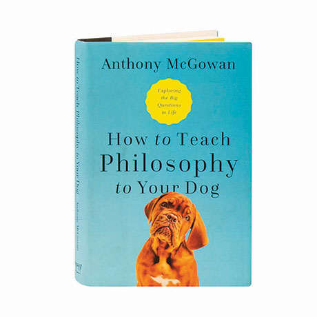 How To Teach Philosophy To Your Dog