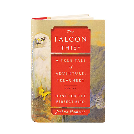 The Falcon Thief