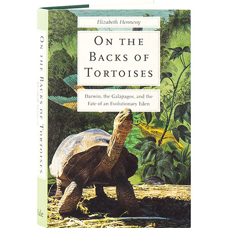 On The Backs Of Tortoises
