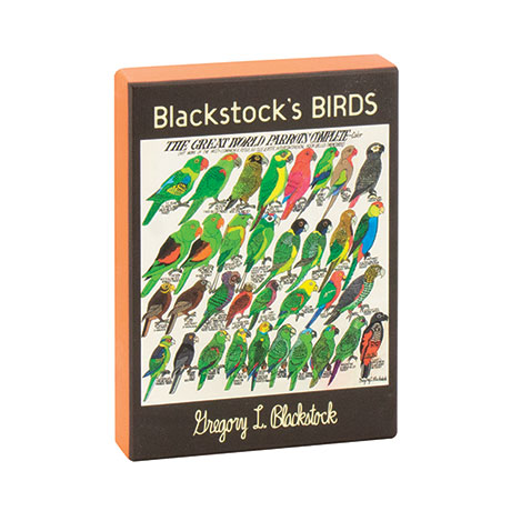 Blackstock's Birds Boxed Notecards