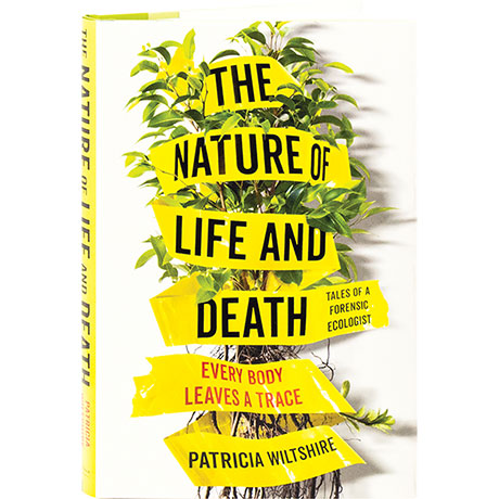 The Nature Of Life And Death