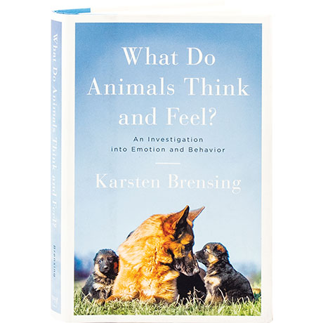 What Do Animals Think And Feel?