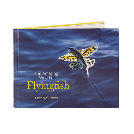The Amazing World Of Flyingfish