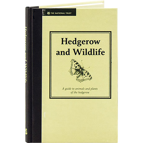 Hedgerow And Wildlife