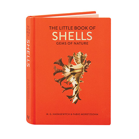 The Little Book Of Shells