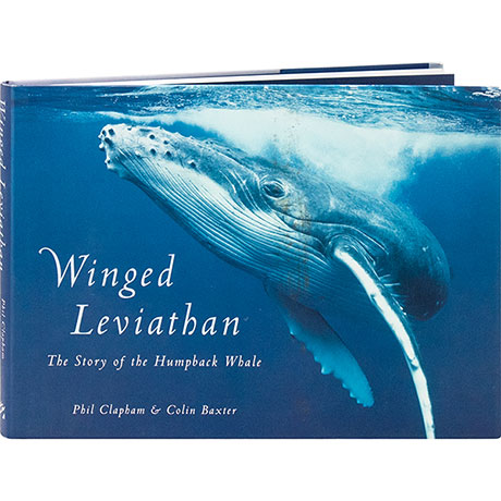 Winged Leviathan
