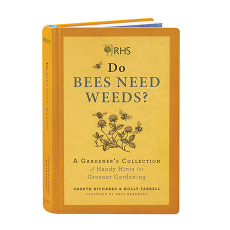 Rhs: Do Bees Need Weeds?