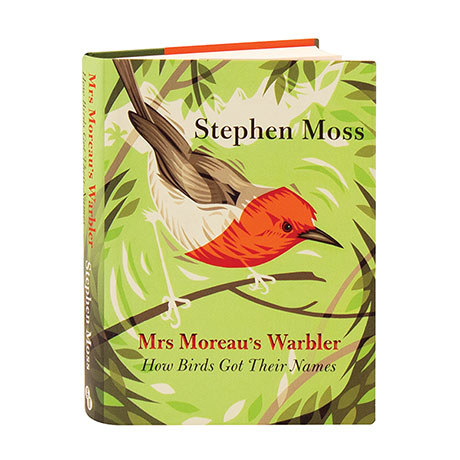 Mrs Moreau's Warbler 