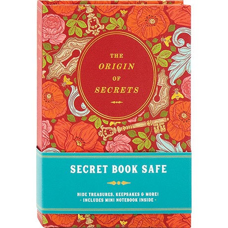 The Origin Of Secrets Book Safe