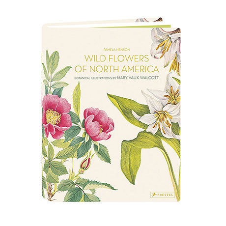 Wild Flowers Of North America
