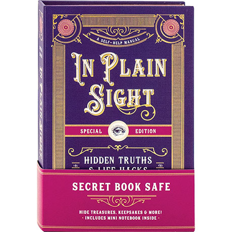 In Plain Sight Book Safe