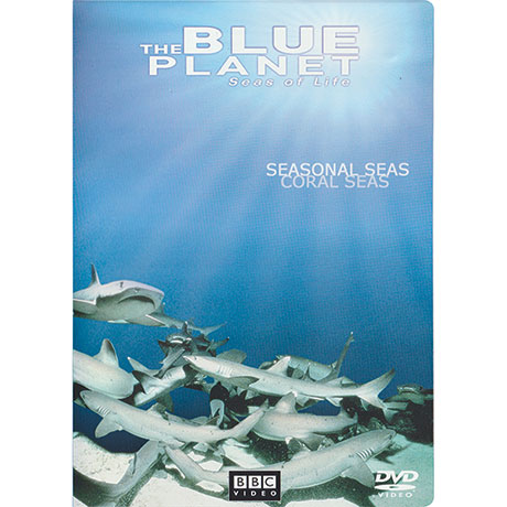 The Blue Planet Seas Of Life: Seasonal Seas