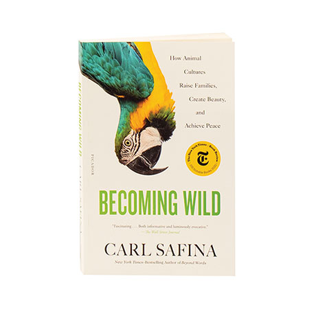 Becoming Wild