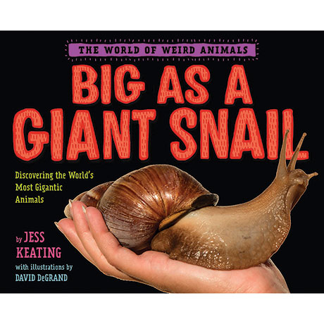 Big As A Giant Snail