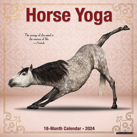 Horse Yoga 2024 Wall Calendar