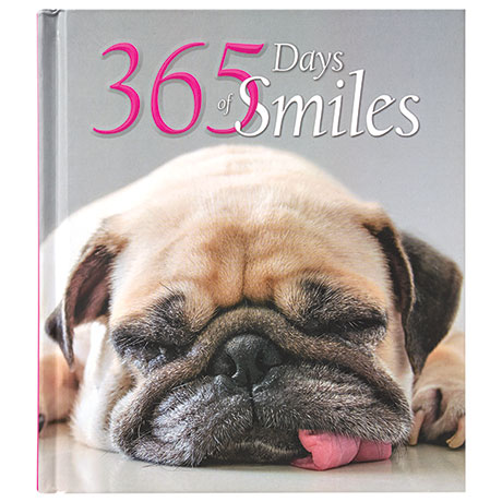 365 Days Of Smiles