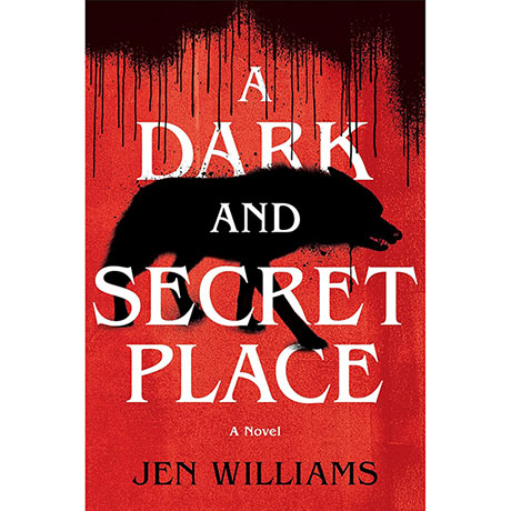 A Dark And Secret Place