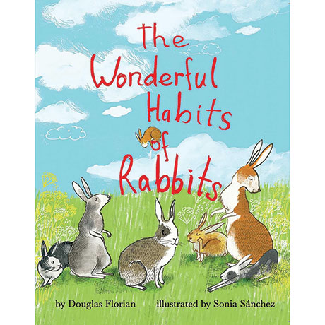 The Wonderful Habits Of Rabbits