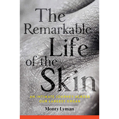 The Remarkable Life Of The Skin