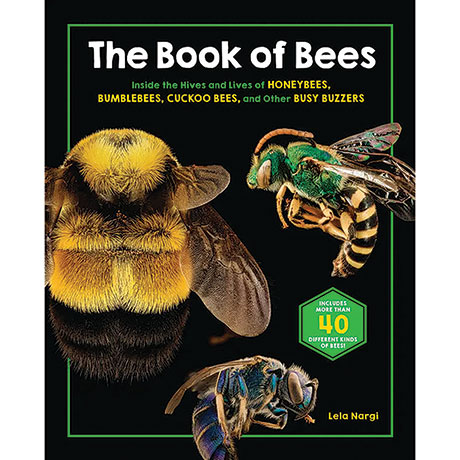The Book Of Bees
