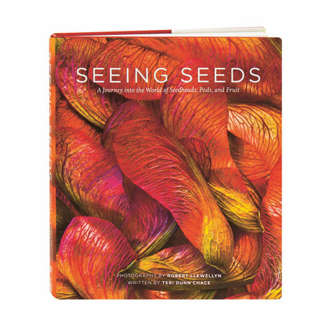 Seeing Seeds