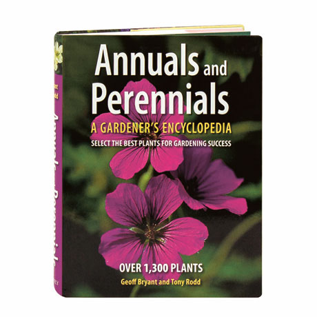 Annuals And Perennials