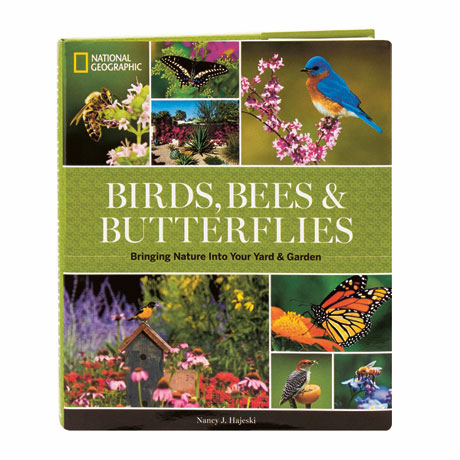 National Geographic Birds Bees & Butterflies