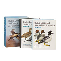 Product Image for Ducks Geese And Swans Of North America