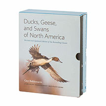 Alternate Image 1 for Ducks Geese And Swans Of North America