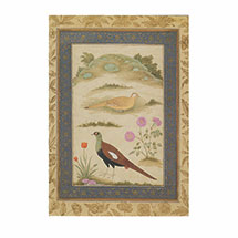 Alternate Image 3 for Birds From The Dara Shikoh Album Boxed Notecards