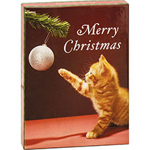 Product Image for Merry Christmas Kitty Boxed Holiday Notecards