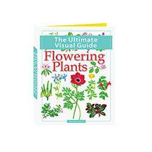 The Ultimate Visual Guide: Flowering Plants