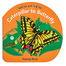 Alternate image Caterpillar To Butterfly