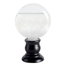 Alternate Image 1 for FitzRoy's Storm Glass
