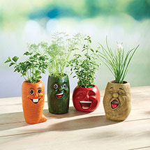 Product Image for Carrot Veggie Herb Pot